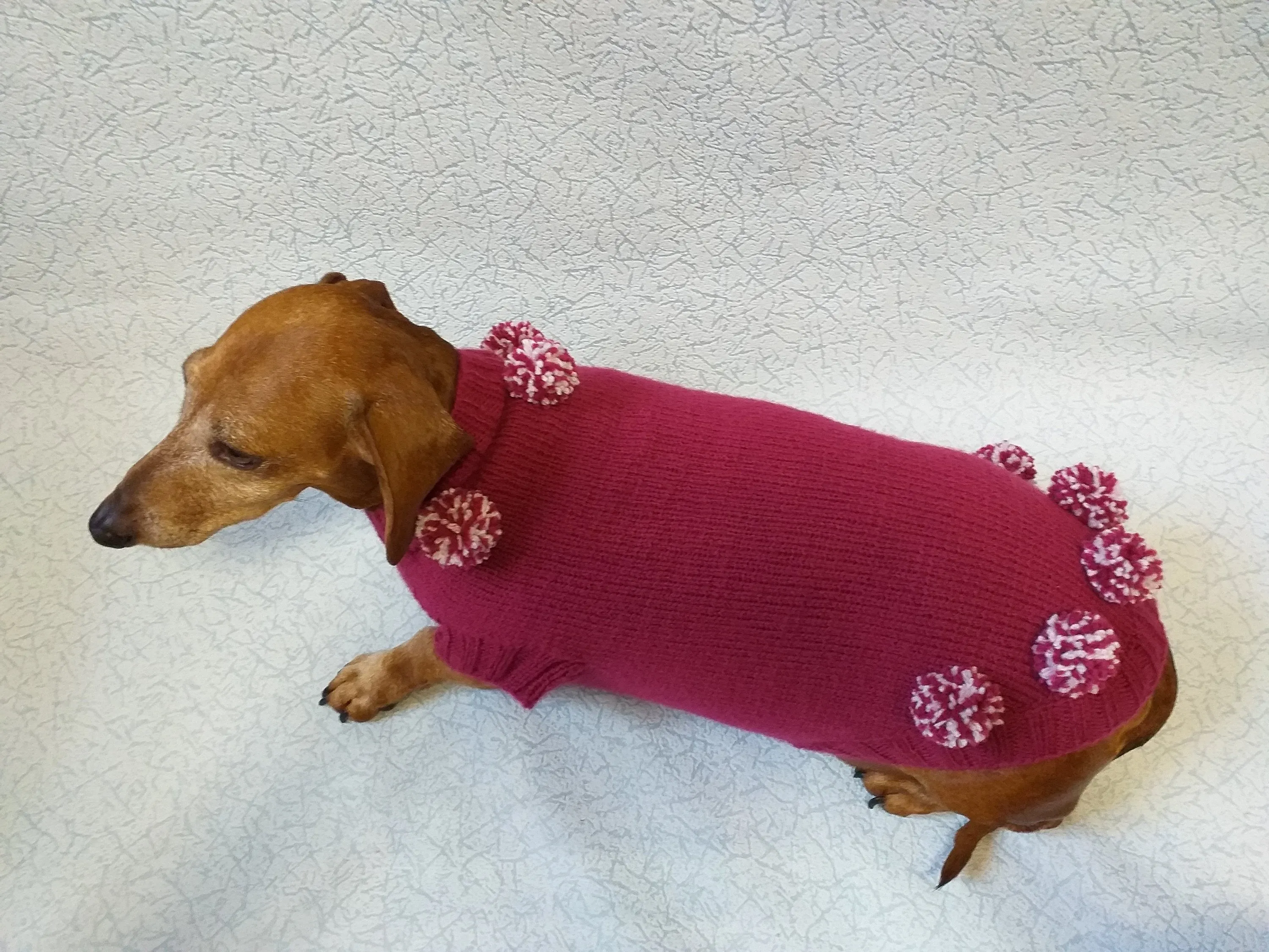 Christmas dachshund clothes pom-pom sweater