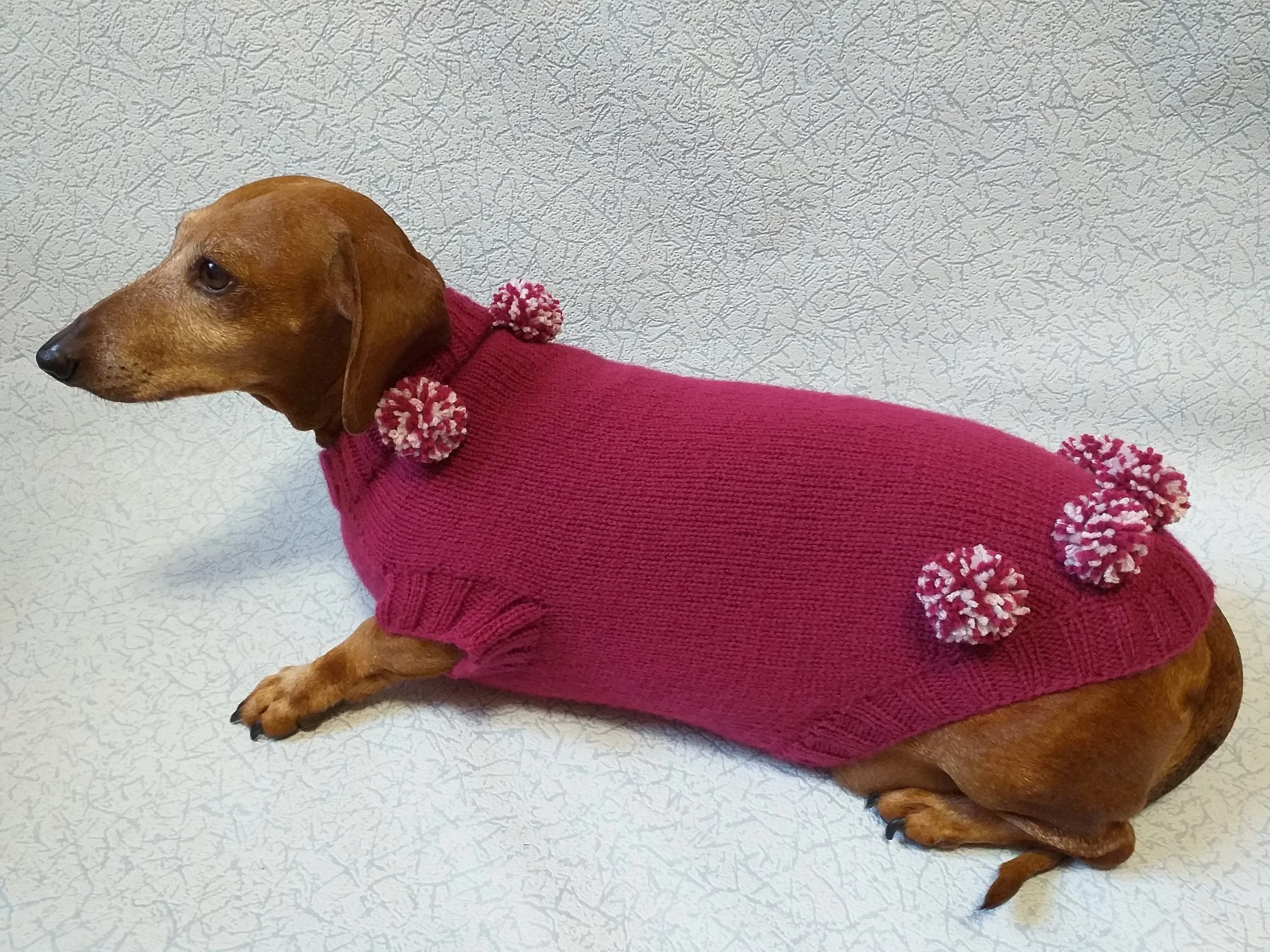 Christmas dachshund clothes pom-pom sweater