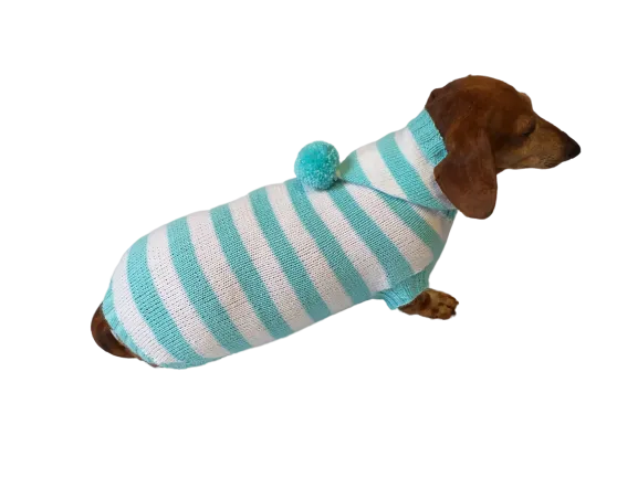 Knitted dachshund sweater with striped hood and pompom, hoodie for dachshund