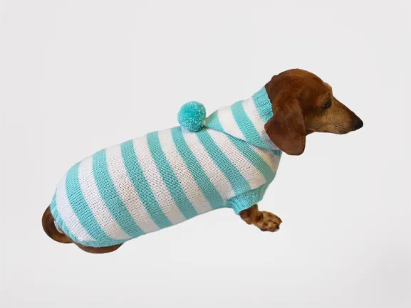 Knitted dachshund sweater with striped hood and pompom, hoodie for dachshund