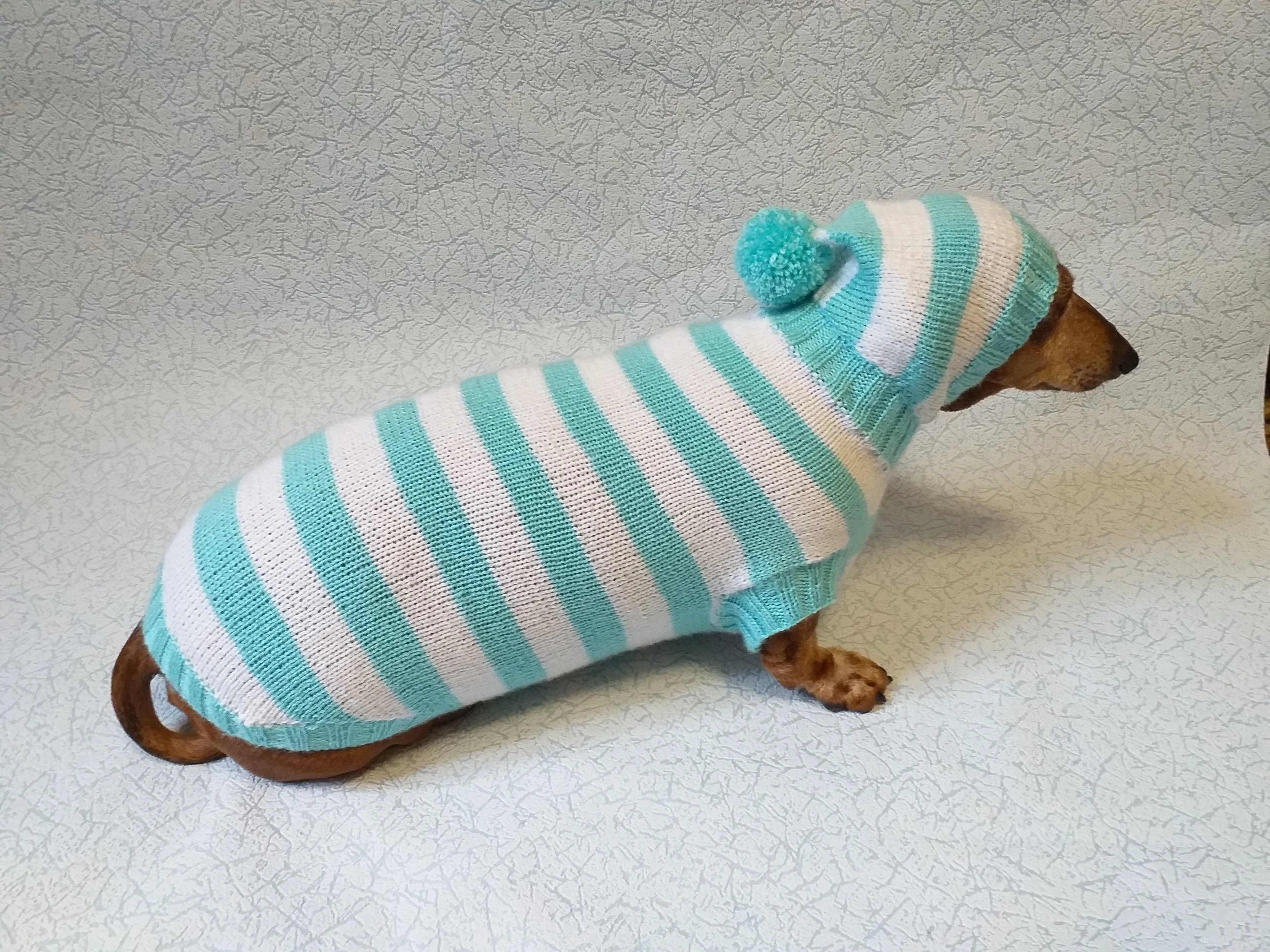 Knitted dachshund sweater with striped hood and pompom, hoodie for dachshund