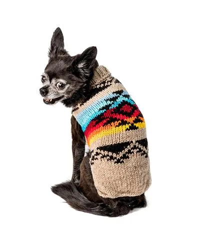 Painted Desert Southwest Sweater